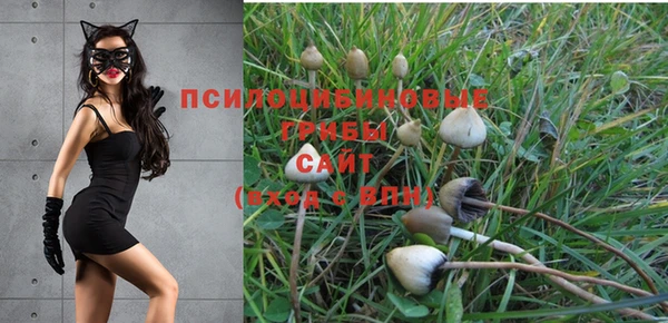 мяу мяу мука Дмитров