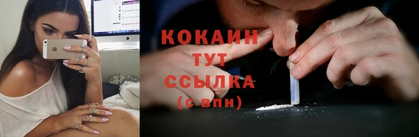 спайс Дмитриев