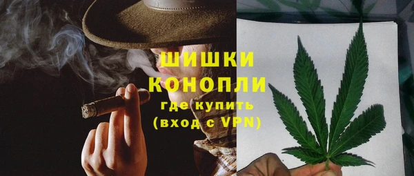 спайс Дмитриев