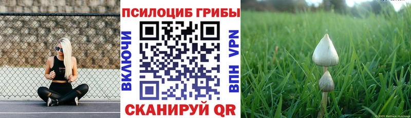 Псилоцибиновые грибы ЛСД  ОМГ ОМГ онион  Инта 