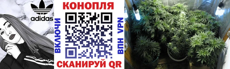 Бошки марихуана Amnesia  хочу наркоту  Инта 